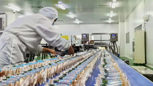 一塊餅干的匠心堅守 鼎福二十年傳承媽媽的味道